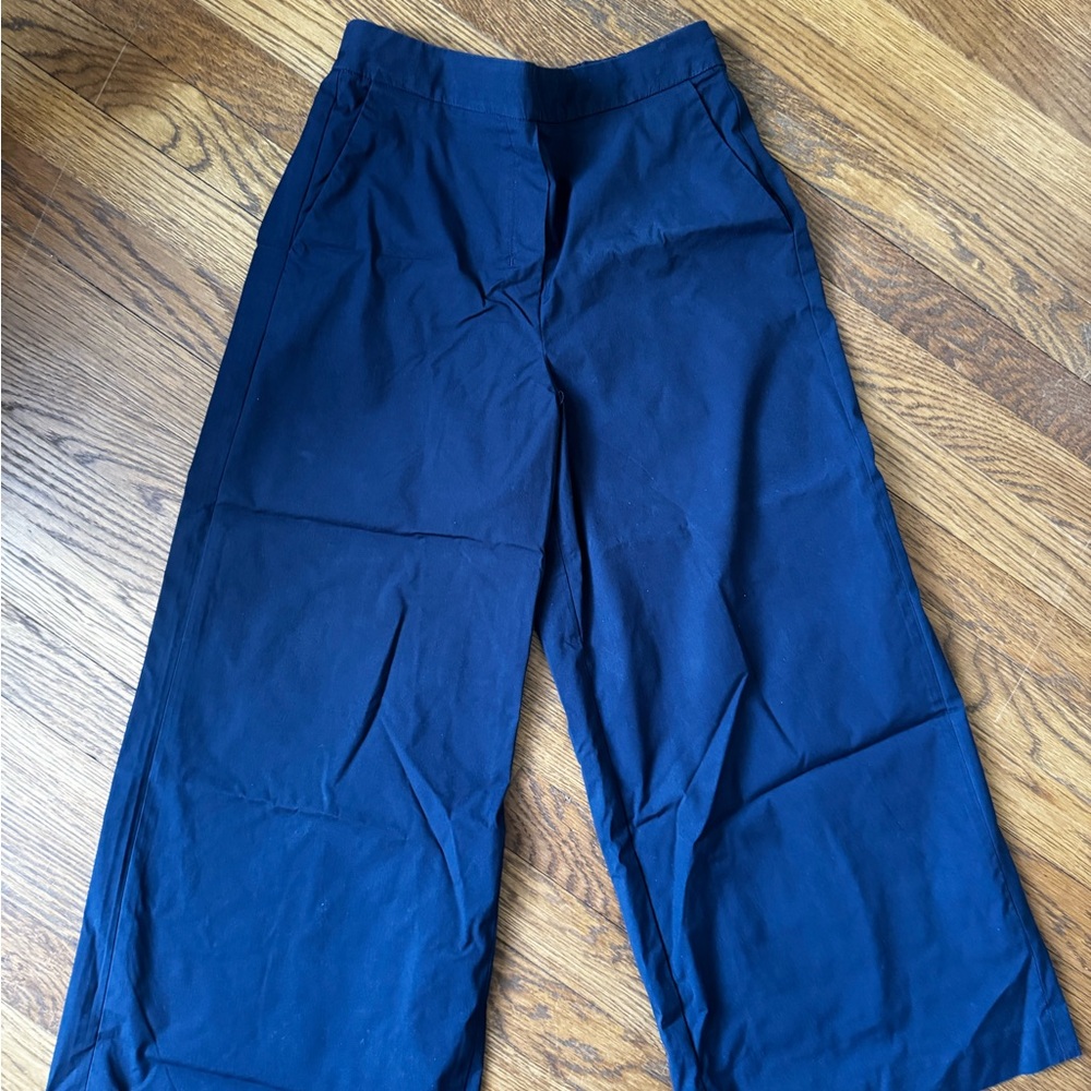 Babaton Wide-Leg Pants in Navy Blue
